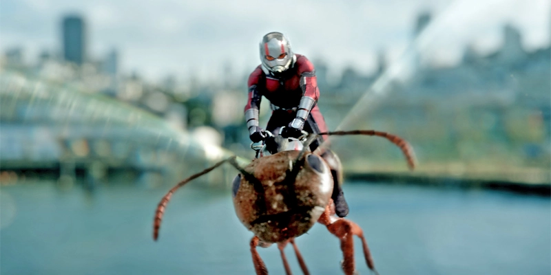 &nbsp; Ant-Man